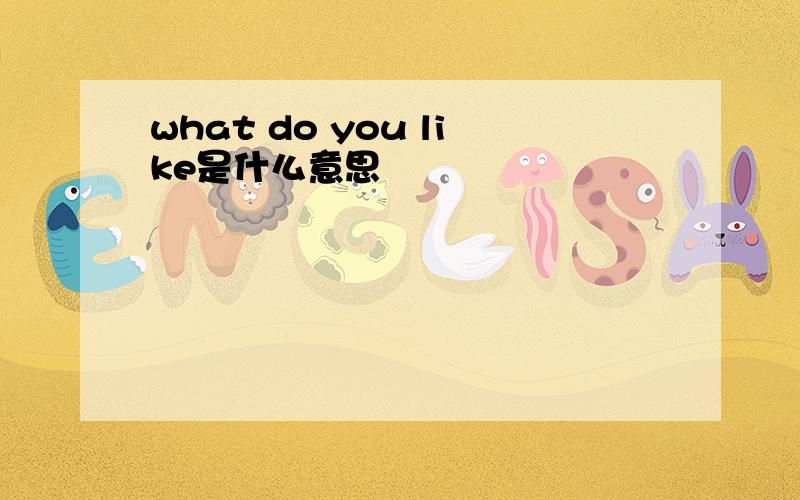 what do you like是什么意思