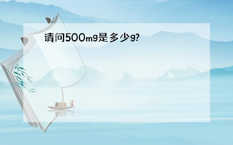 请问500mg是多少g?