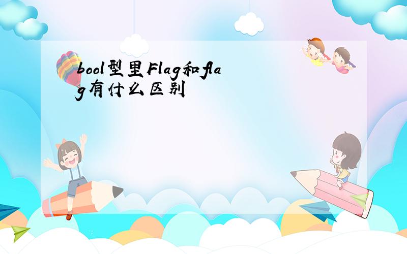 bool型里Flag和flag有什么区别