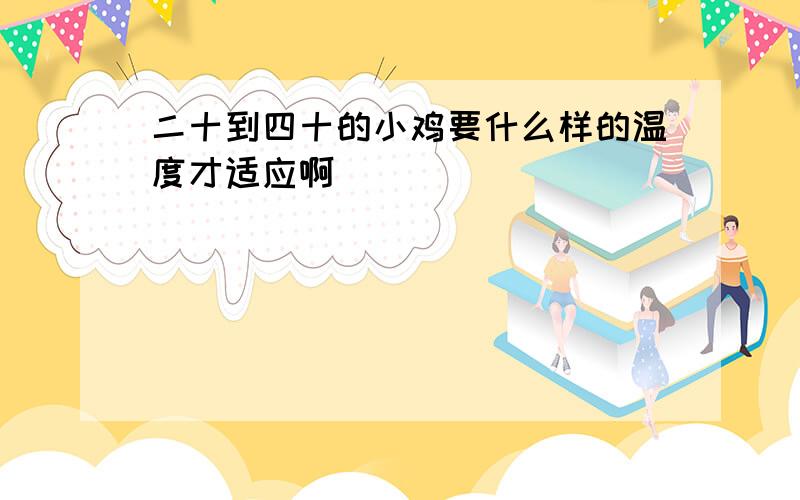 二十到四十的小鸡要什么样的温度才适应啊