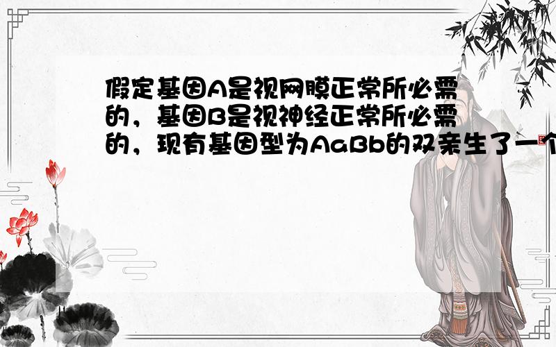 假定基因A是视网膜正常所必需的，基因B是视神经正常所必需的，现有基因型为AaBb的双亲生了一个正常的男性，该正常男性与一