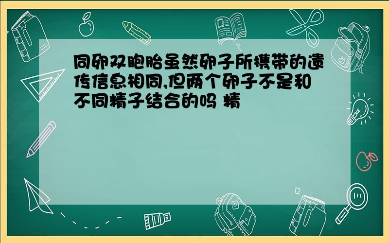 同卵双胞胎虽然卵子所携带的遗传信息相同,但两个卵子不是和不同精子结合的吗 精