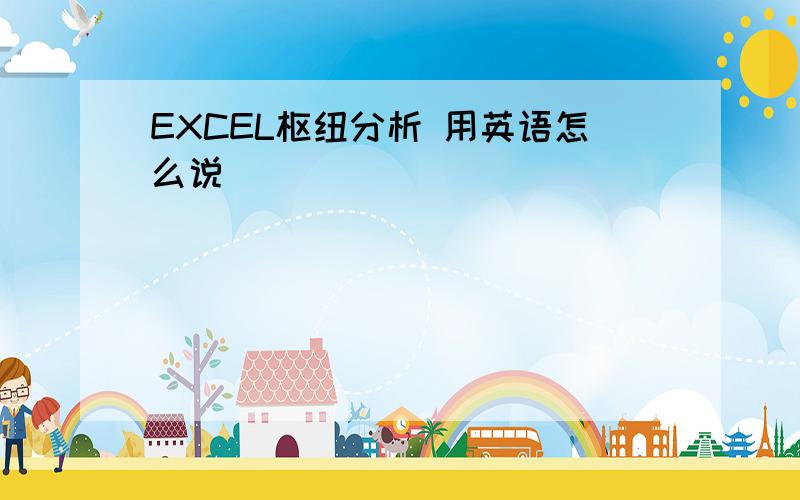 EXCEL枢纽分析 用英语怎么说