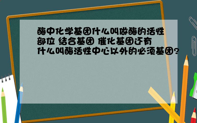 酶中化学基团什么叫做酶的活性部位 结合基团 催化基团还有什么叫酶活性中心以外的必须基团?