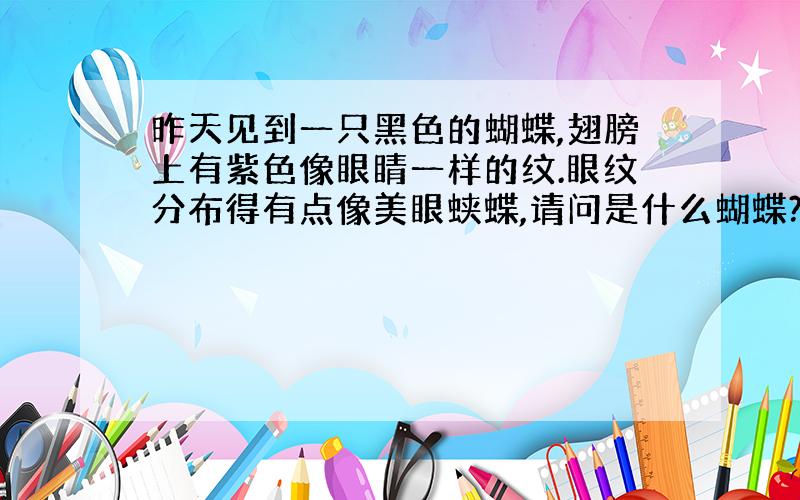 昨天见到一只黑色的蝴蝶,翅膀上有紫色像眼睛一样的纹.眼纹分布得有点像美眼蛱蝶,请问是什么蝴蝶?