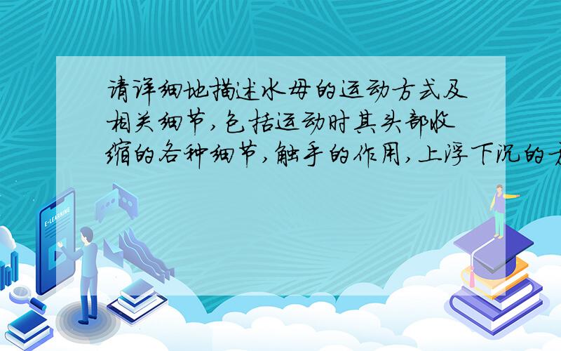 请详细地描述水母的运动方式及相关细节,包括运动时其头部收缩的各种细节,触手的作用,上浮下沉的方式等