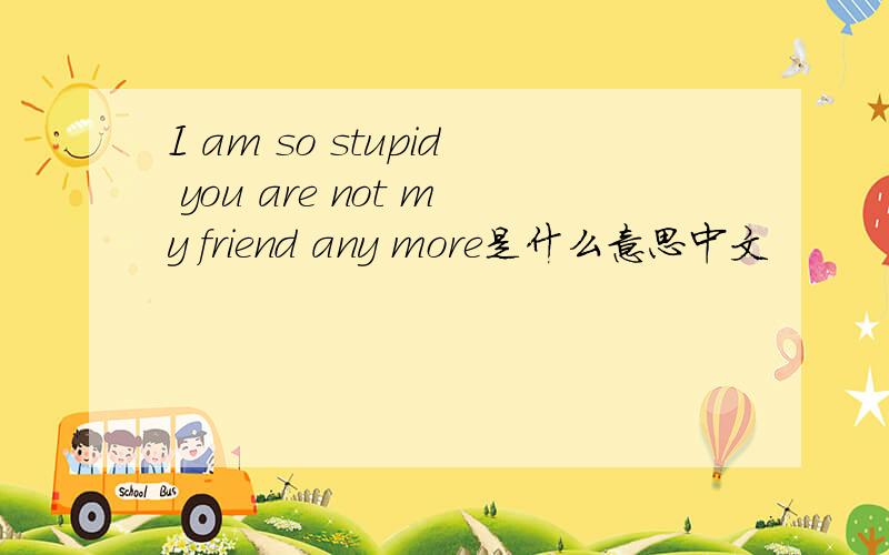 I am so stupid you are not my friend any more是什么意思中文