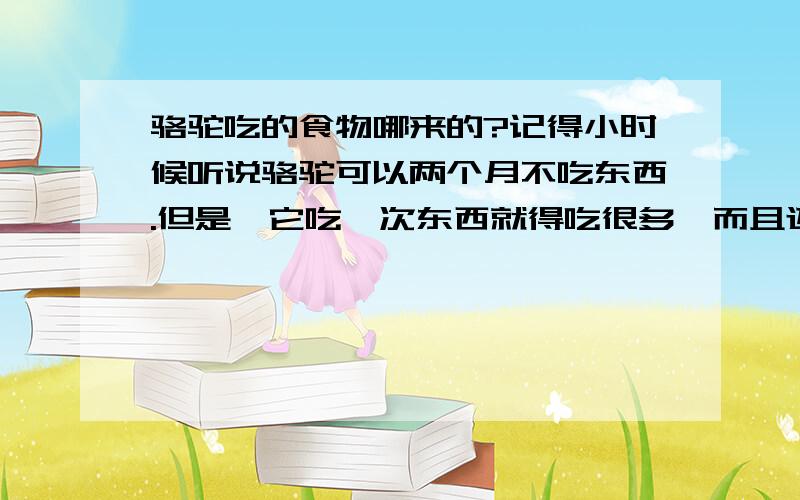 骆驼吃的食物哪来的?记得小时候听说骆驼可以两个月不吃东西.但是,它吃一次东西就得吃很多,而且还很丰富的说.我想问问,茫茫