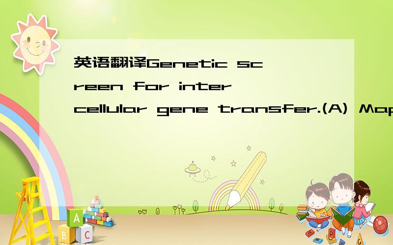 英语翻译Genetic screen for intercellular gene transfer.(A) Maps