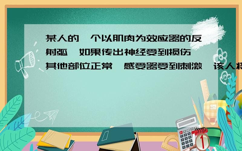 某人的一个以肌肉为效应器的反射弧,如果传出神经受到损伤,其他部位正常,感受器受到刺激,该人将表现为