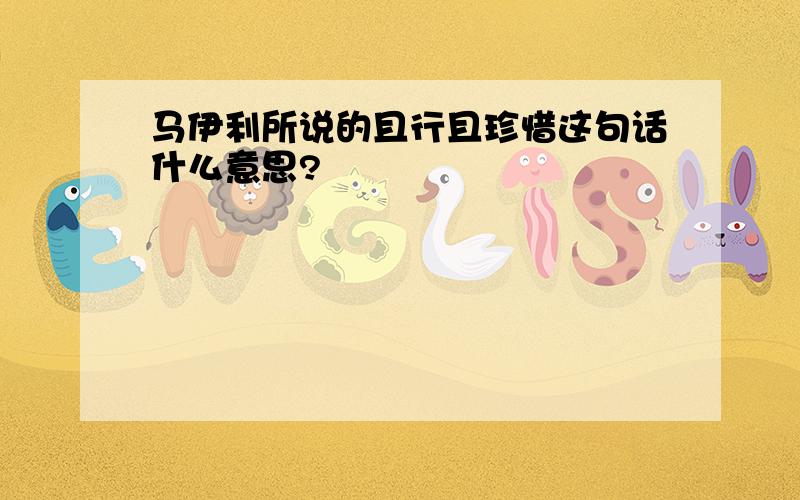 马伊利所说的且行且珍惜这句话什么意思?