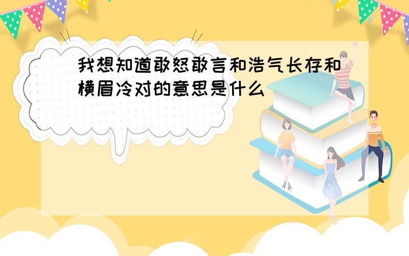 我想知道敢怒敢言和浩气长存和横眉冷对的意思是什么