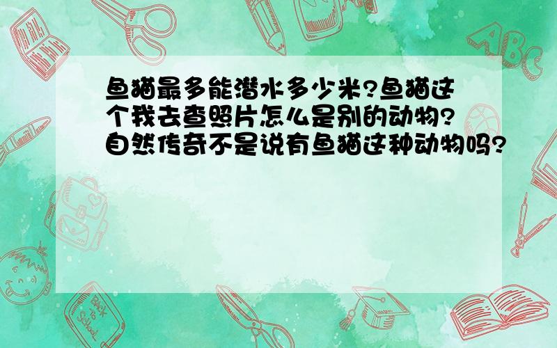 鱼猫最多能潜水多少米?鱼猫这个我去查照片怎么是别的动物?自然传奇不是说有鱼猫这种动物吗?