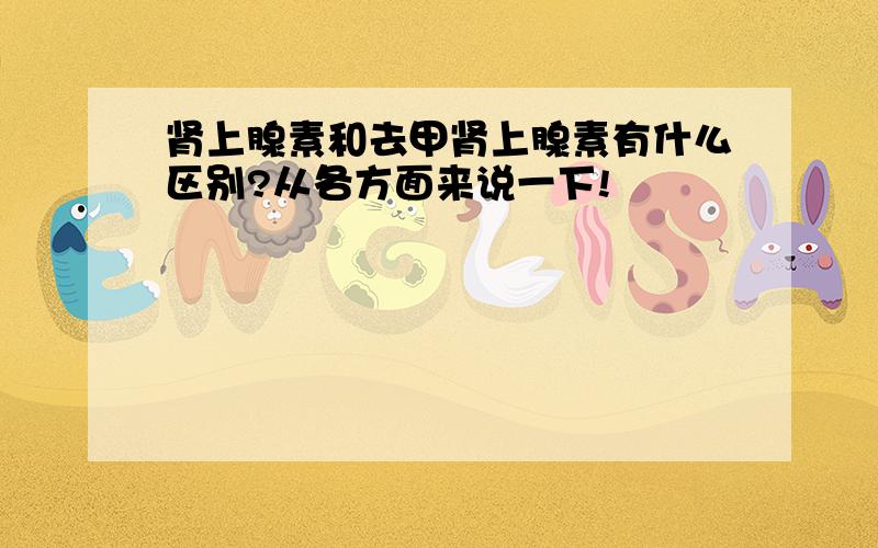 肾上腺素和去甲肾上腺素有什么区别?从各方面来说一下!