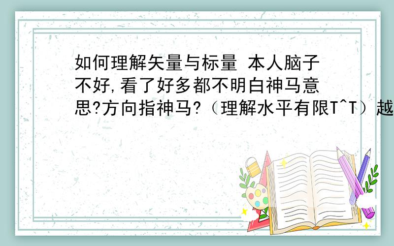 如何理解矢量与标量 本人脑子不好,看了好多都不明白神马意思?方向指神马?（理解水平有限T^T）越简单 越通俗易懂 越好!