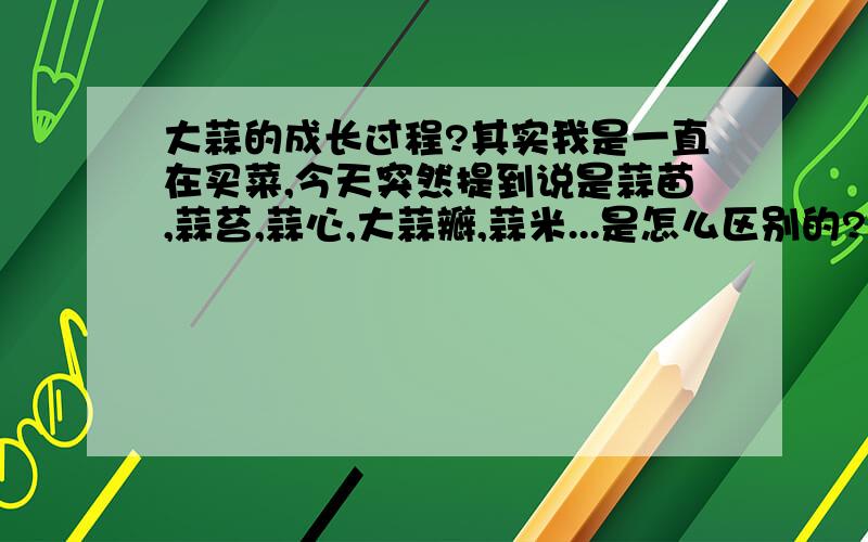 大蒜的成长过程?其实我是一直在买菜,今天突然提到说是蒜苗,蒜苔,蒜心,大蒜瓣,蒜米...是怎么区别的?有什么关联?以及这