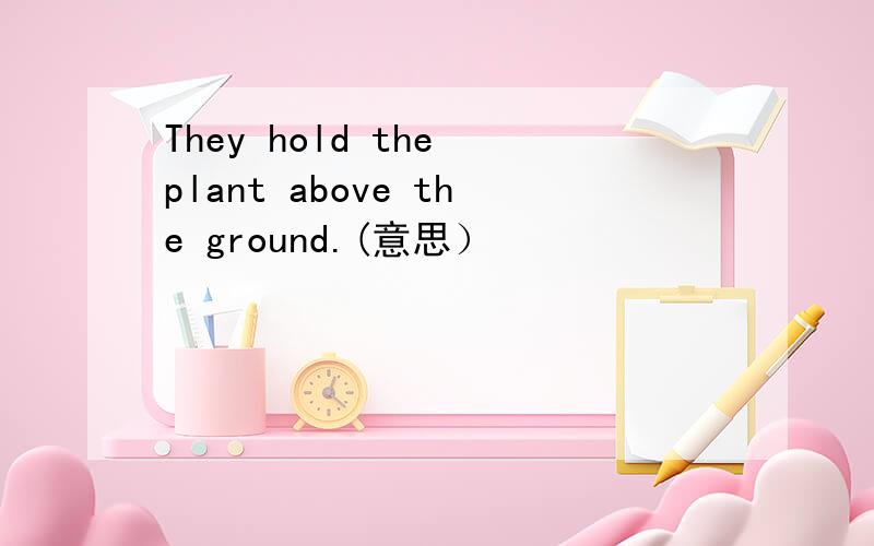 They hold the plant above the ground.(意思）