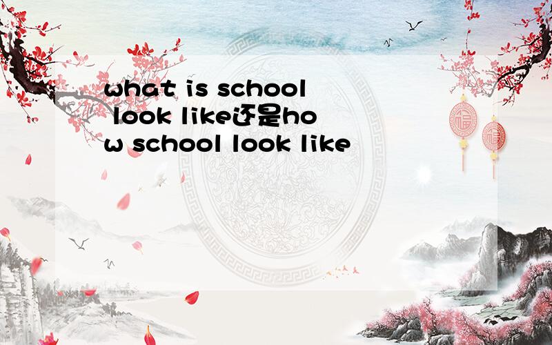 what is school look like还是how school look like