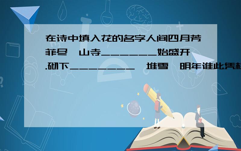 在诗中填入花的名字人间四月芳菲尽,山寺______始盛开.砌下_______一堆雪,明年谁此凭栏杆.