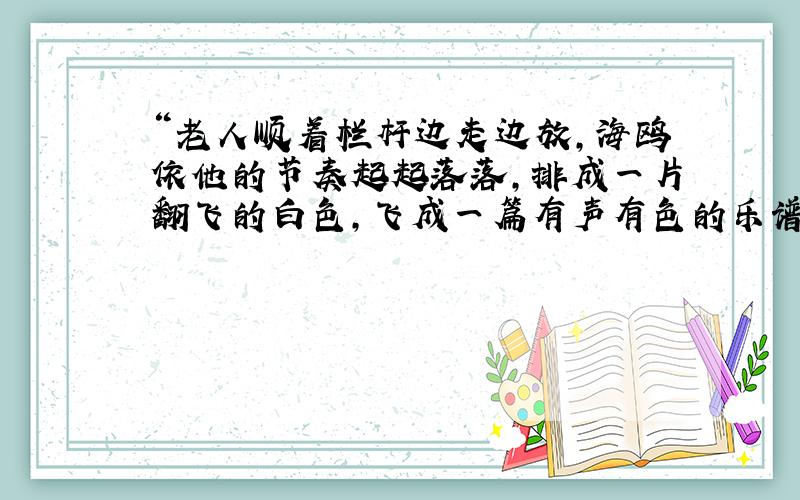 “老人顺着栏杆边走边放,海鸥依他的节奏起起落落,排成一片翻飞的白色,飞成一篇有声有色的乐谱.”