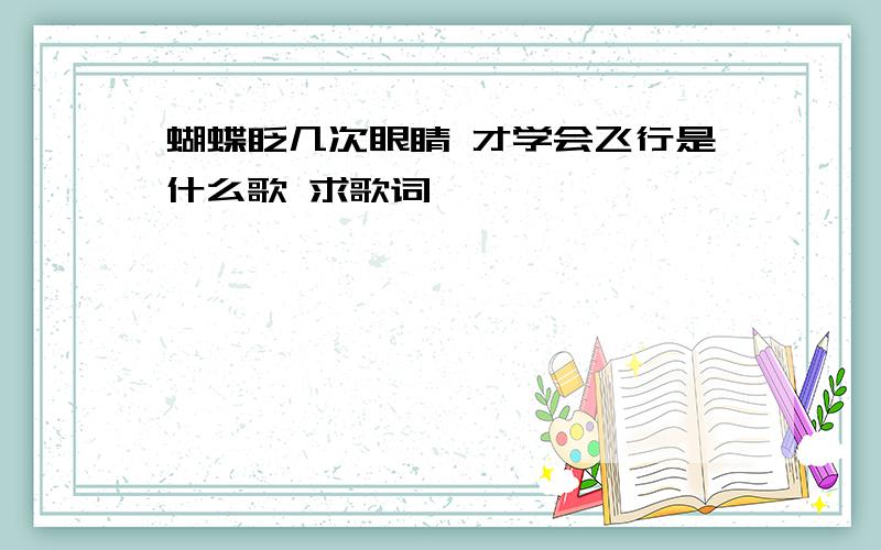 蝴蝶眨几次眼睛 才学会飞行是什么歌 求歌词、