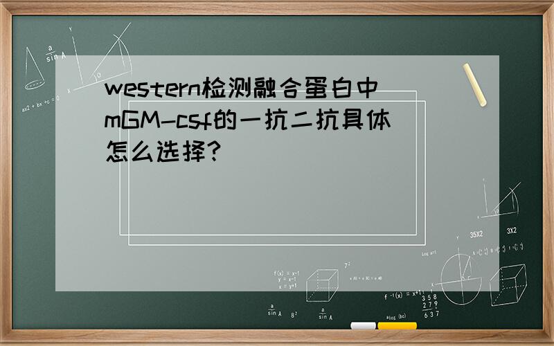 western检测融合蛋白中mGM-csf的一抗二抗具体怎么选择?