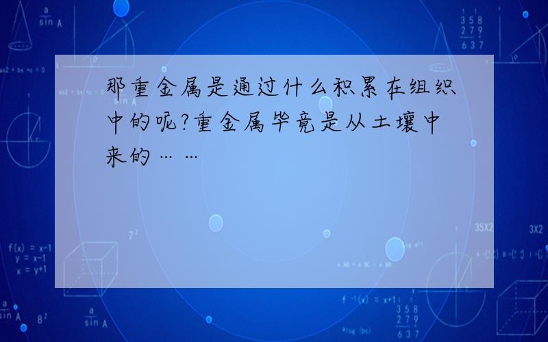 那重金属是通过什么积累在组织中的呢?重金属毕竟是从土壤中来的……