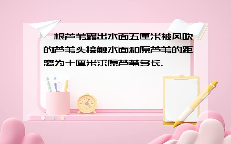 一根芦苇露出水面五厘米被风吹的芦苇头接触水面和原芦苇的距离为十厘米求原芦苇多长.