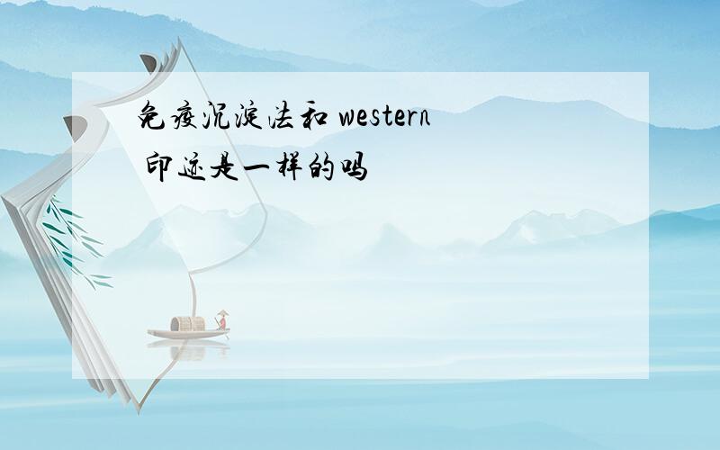 免疫沉淀法和 western 印迹是一样的吗