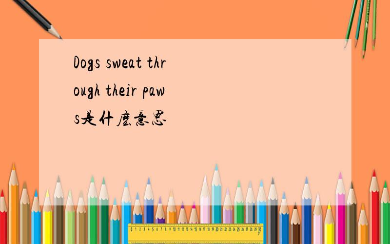 Dogs sweat through their paws是什麽意思