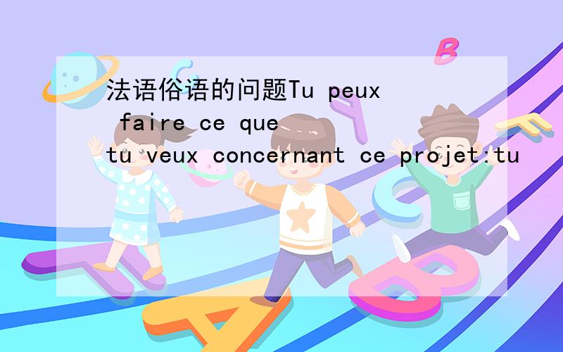 法语俗语的问题Tu peux faire ce que tu veux concernant ce projet:tu