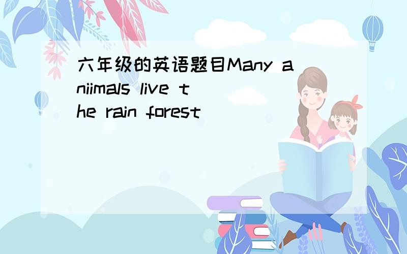 六年级的英语题目Many aniimals live the rain forest