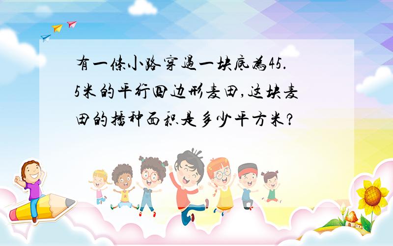 有一条小路穿过一块底为45.5米的平行四边形麦田,这块麦田的播种面积是多少平方米?