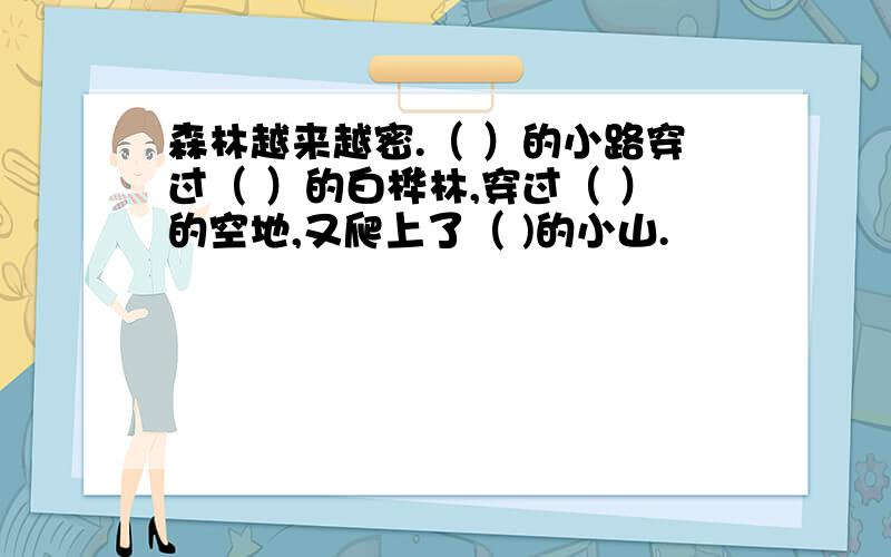 森林越来越密.（ ）的小路穿过（ ）的白桦林,穿过（ ）的空地,又爬上了（ )的小山.