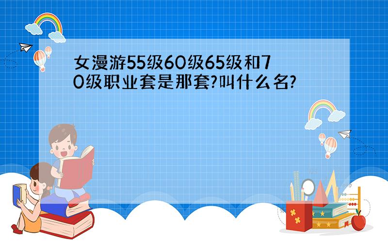 女漫游55级60级65级和70级职业套是那套?叫什么名?