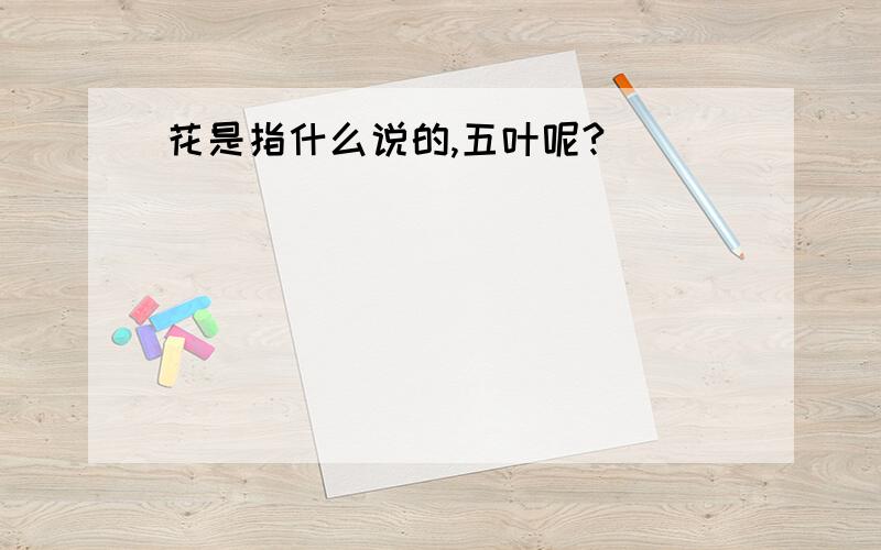 花是指什么说的,五叶呢?