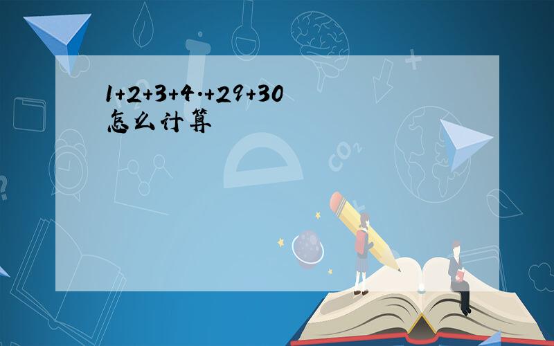 1+2+3+4.+29+30怎么计算