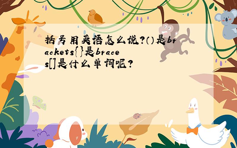 括号用英语怎么说?（）是brackets{}是braces[]是什么单词呢?