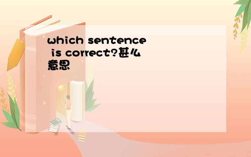 which sentence is correct?甚么意思