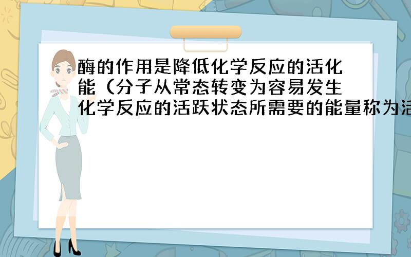 酶的作用是降低化学反应的活化能（分子从常态转变为容易发生化学反应的活跃状态所需要的能量称为活化能）