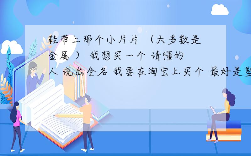 鞋带上那个小片片 （大多数是金属 ） 我想买一个 请懂的人 说出全名 我要在淘宝上买个 最好是塑料的