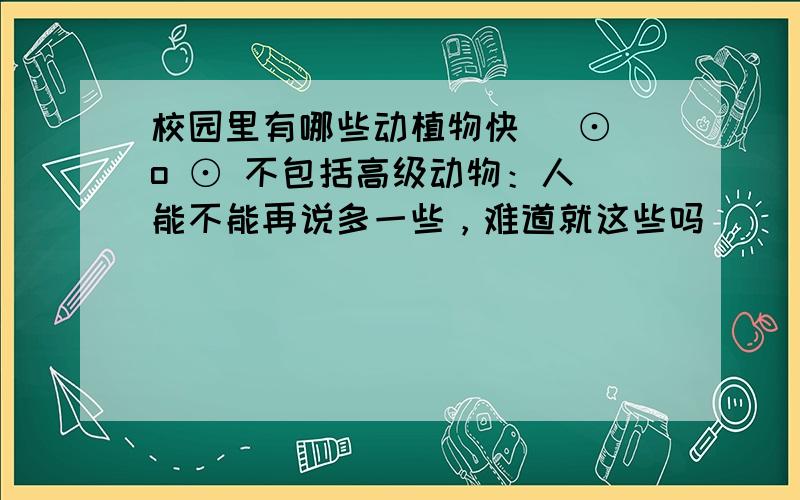 校园里有哪些动植物快( ⊙ o ⊙ 不包括高级动物：人 能不能再说多一些，难道就这些吗