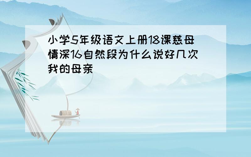 小学5年级语文上册18课慈母情深16自然段为什么说好几次我的母亲