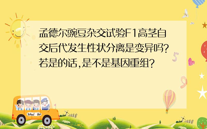 孟德尔豌豆杂交试验F1高茎自交后代发生性状分离是变异吗?若是的话,是不是基因重组?