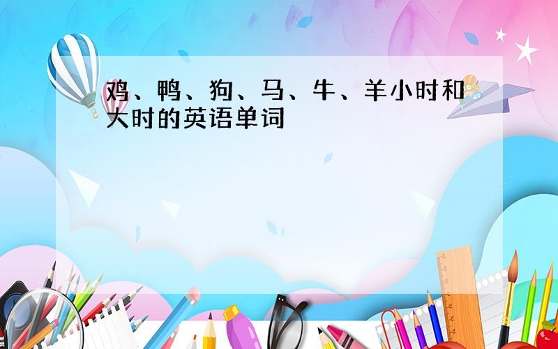 鸡、鸭、狗、马、牛、羊小时和大时的英语单词