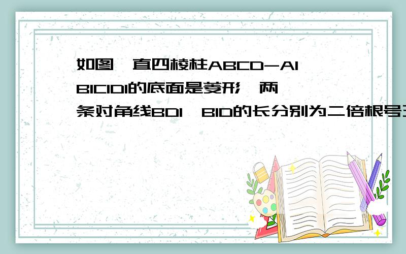 如图,直四棱柱ABCD-A1B1C1D1的底面是菱形,两条对角线BD1、B1D的长分别为二倍根号五、四倍根号二,底面边长