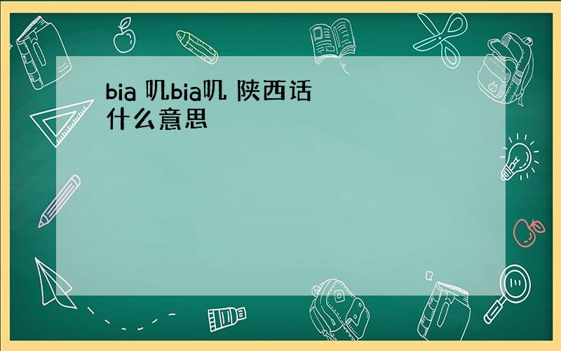 bia 叽bia叽 陕西话 什么意思