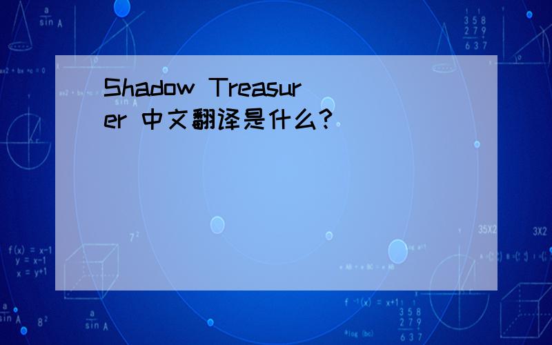 Shadow Treasurer 中文翻译是什么?