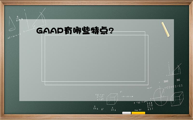 GAAP有哪些特点?