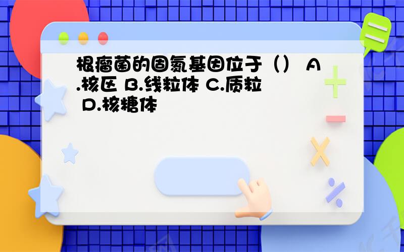 根瘤菌的固氮基因位于（） A.核区 B.线粒体 C.质粒 D.核糖体